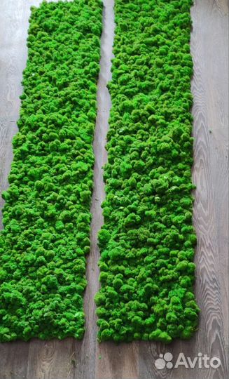 Озеленение стаб мхом