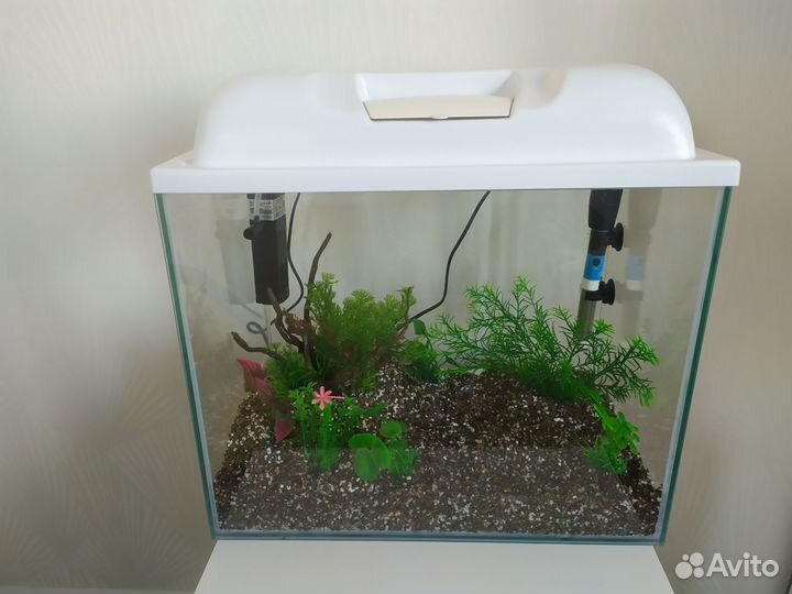 Аквариум