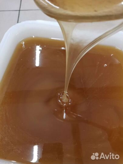 Алтайский мёд весовой 2022 опт