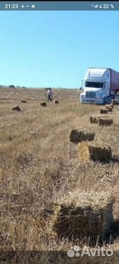 Сена и солома