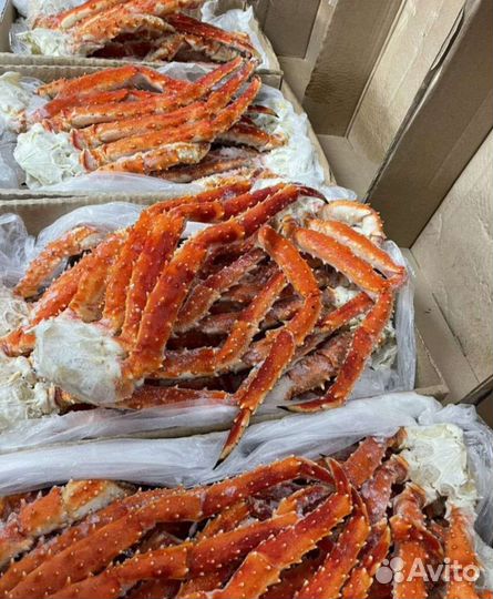 Клешни камчатского краба