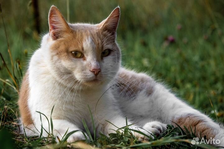 Ретушь и обработка фотографий