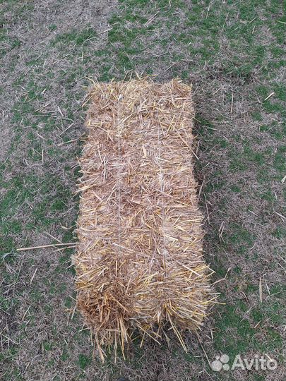 Солома ячменная в тюках