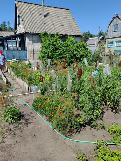 Дом 75 м² на участке 4,33 га