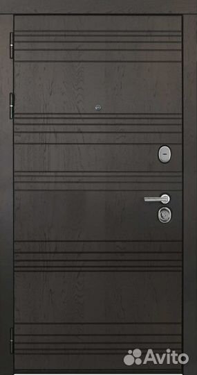Дверь входная Министр