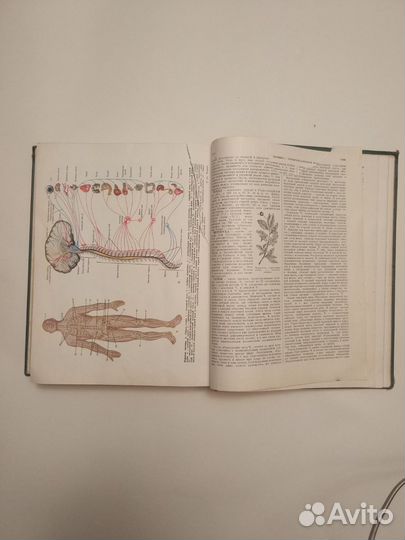 Популярная медицинская энциклопедия, 1961