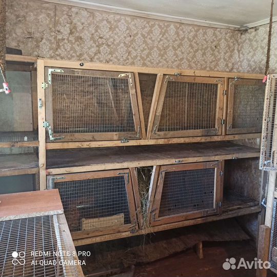 Клетки для кроликов