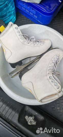 Коньки фигурные женские