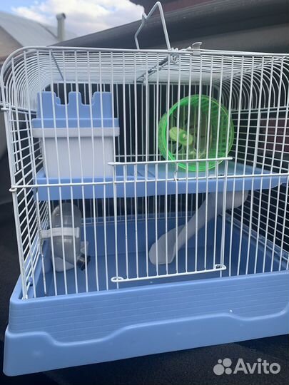 Клетка для джунгарского хомяка