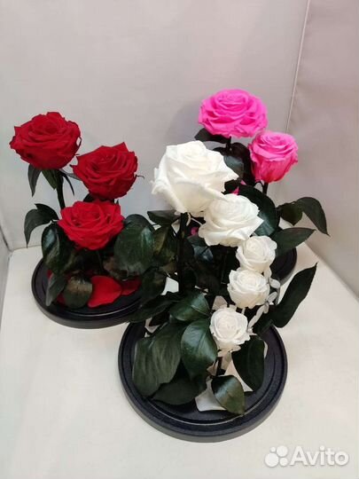 Роза в колбе