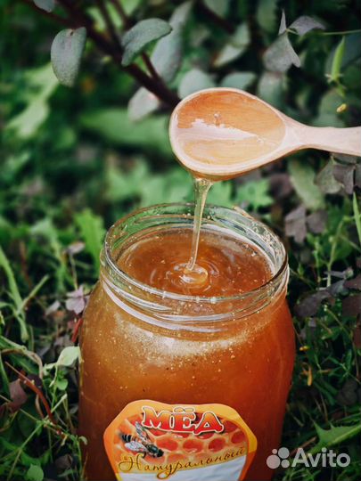 Мед, мёд в сотах, перга, пыльца