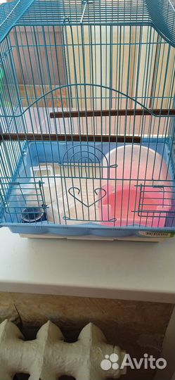 Клетка для попугая