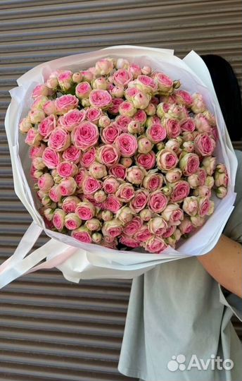 Кустовые розы цветы букеты 51 роза 101 доставка