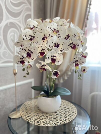 Интерьерные композиции