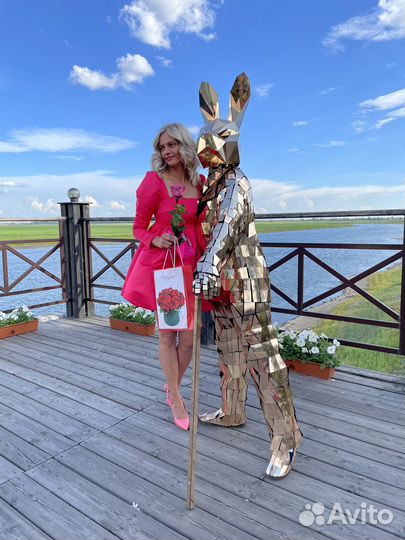 Зеркальное шоу Зеркальный заяц