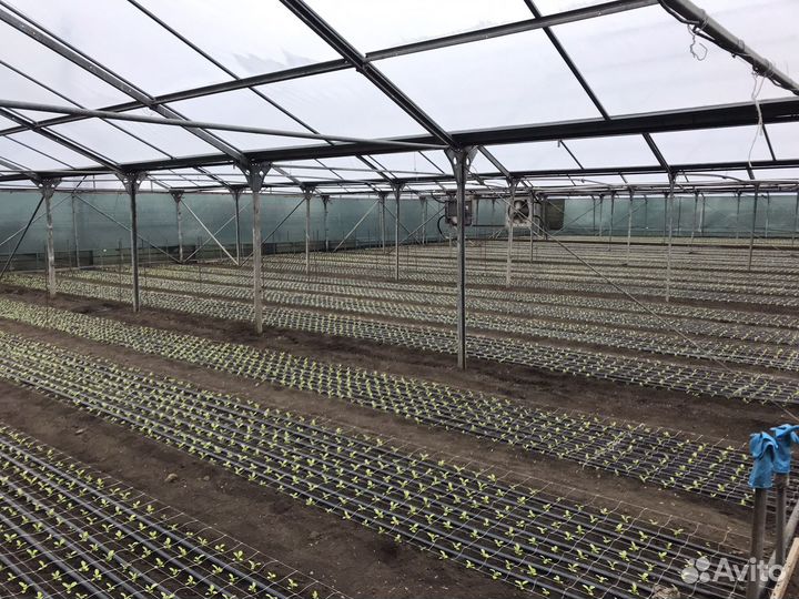 Заборы ворота навесы