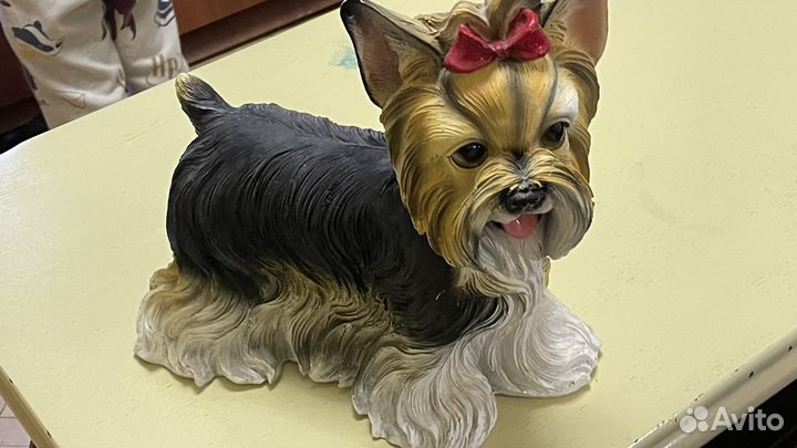 Собака капилка