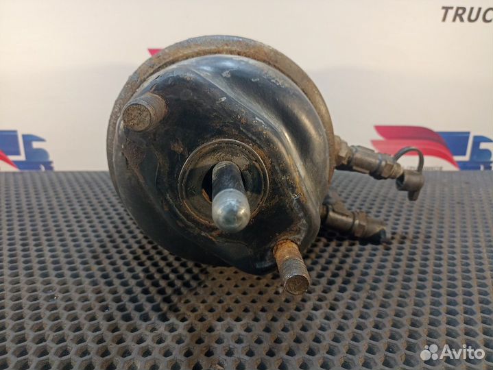 Энергоаккумулятор тормозной Iveco Stralis