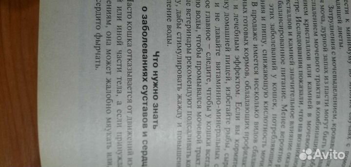 Кошка в доме книга о кошках