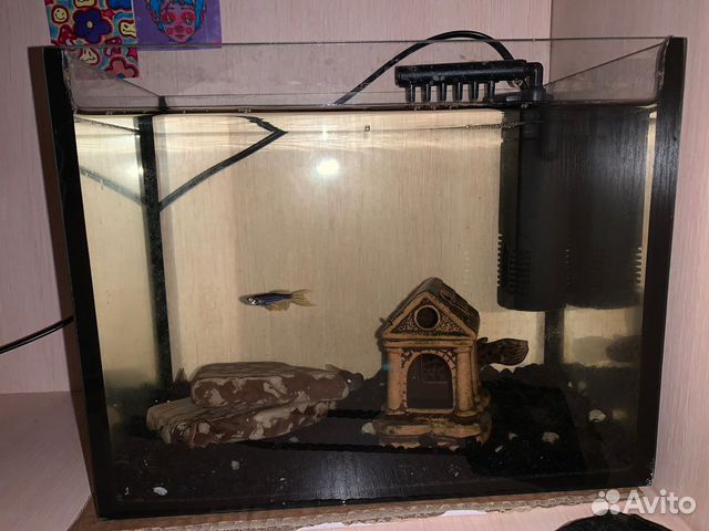 Аквариум с фильтром