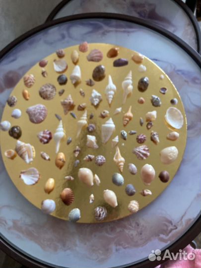 Морские ракушки раковины