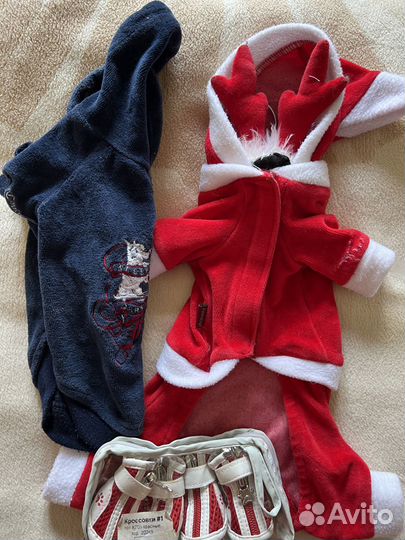 Одежда для мелких собачек