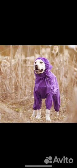 Дождевик для собаки средних пород