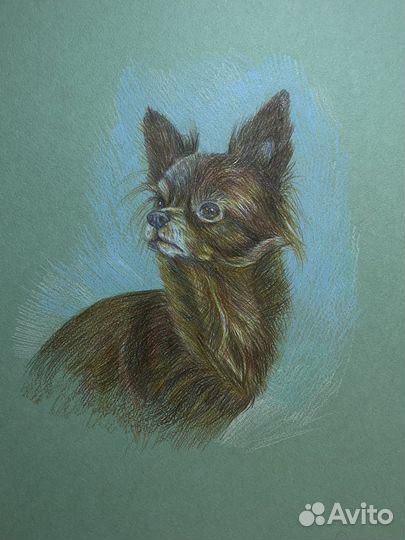 Портрет собаки