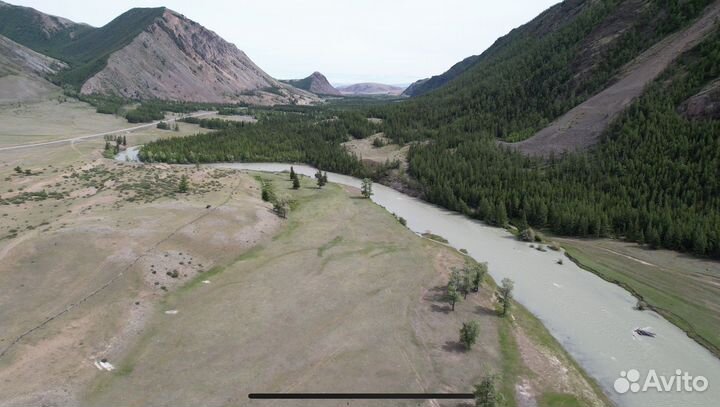 Экскурсии по горному алтаю