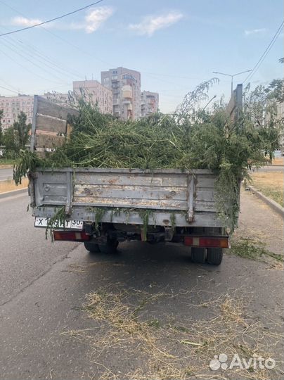 Грузоперевозки