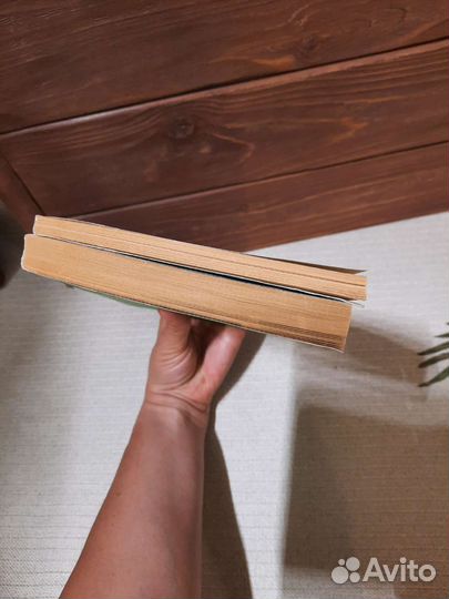 Баранов и Лебедев Комплект учебников Русский язык