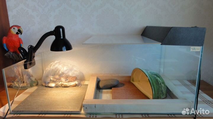 Террариум большой 80х40