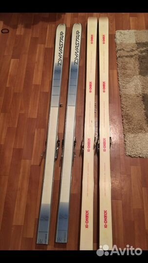 Горные лыжи