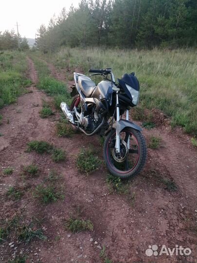 Irbis gs 250