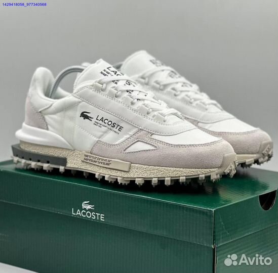 Lacoste (Арт.73781)