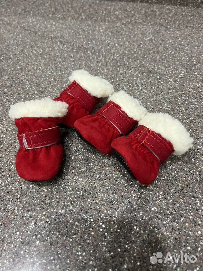 Одежда для животных