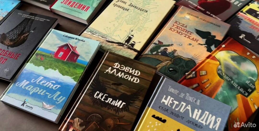 Книги Евгения Рудашевского