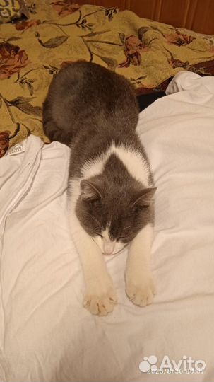 Фима - лучший друг