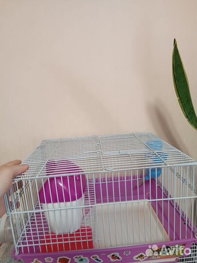 Клетка для джунгарского хомяка