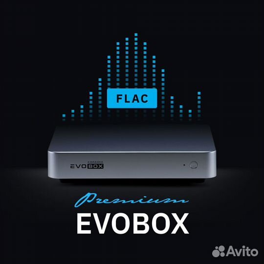 Караоке EvoBox Premium