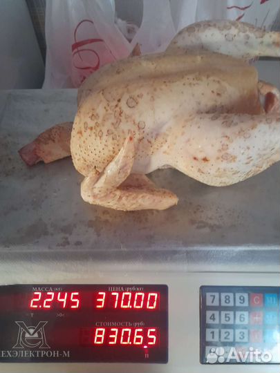 Мясо домашнего бролера