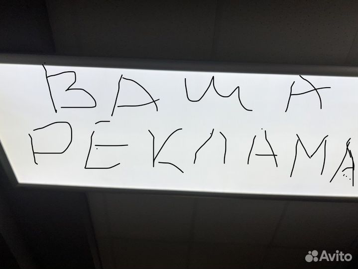 Light box лайт бокс