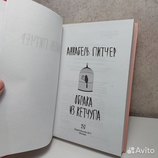 Книга Облака из кетчупа