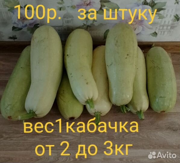 Кабачки Свежие