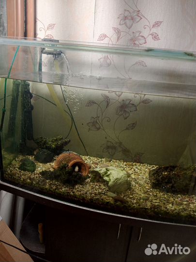 Аквариум с тумбой 300 литров