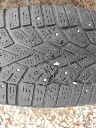 Gislaved NordFrost 100 205/55 R16
