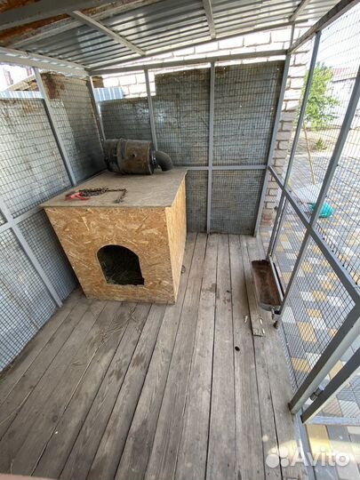Вольер для собак
