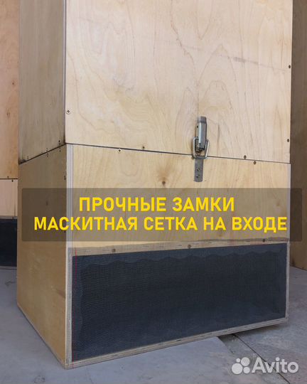 Шумобокс для асика