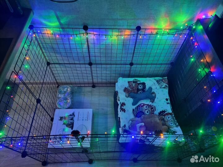 Вольер для собак в квартиру бу