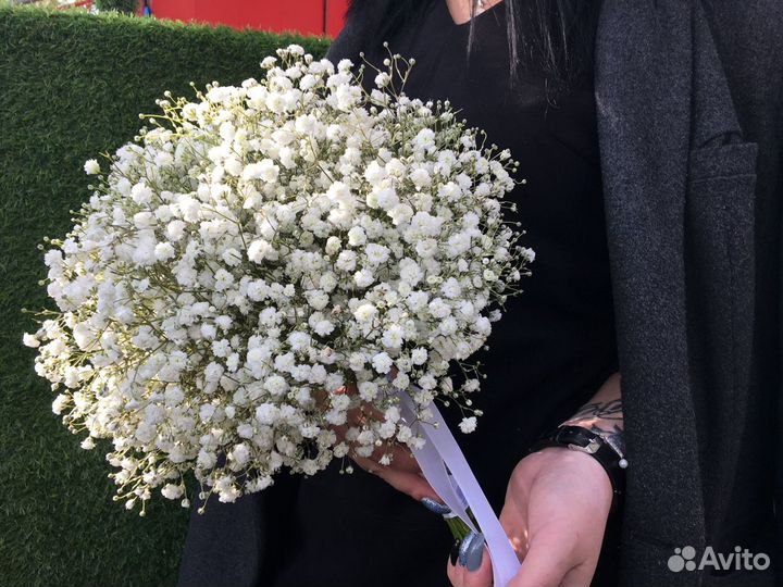 Букет 13 гипсофил